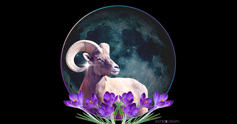 A New Moon of Dedication to Inner Vision