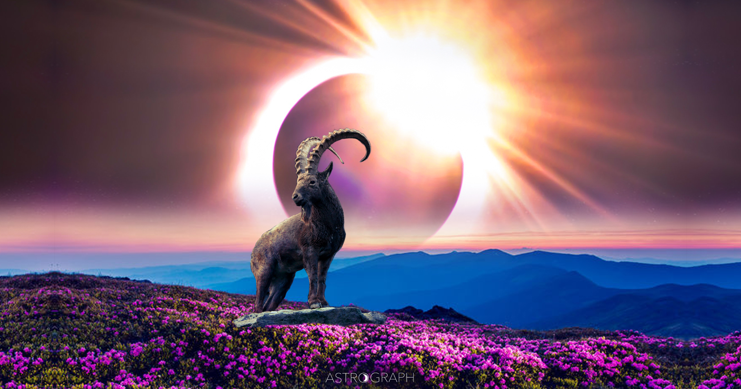 A New Moon Eclipse of Continued Transformational Intention