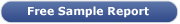 free sample report