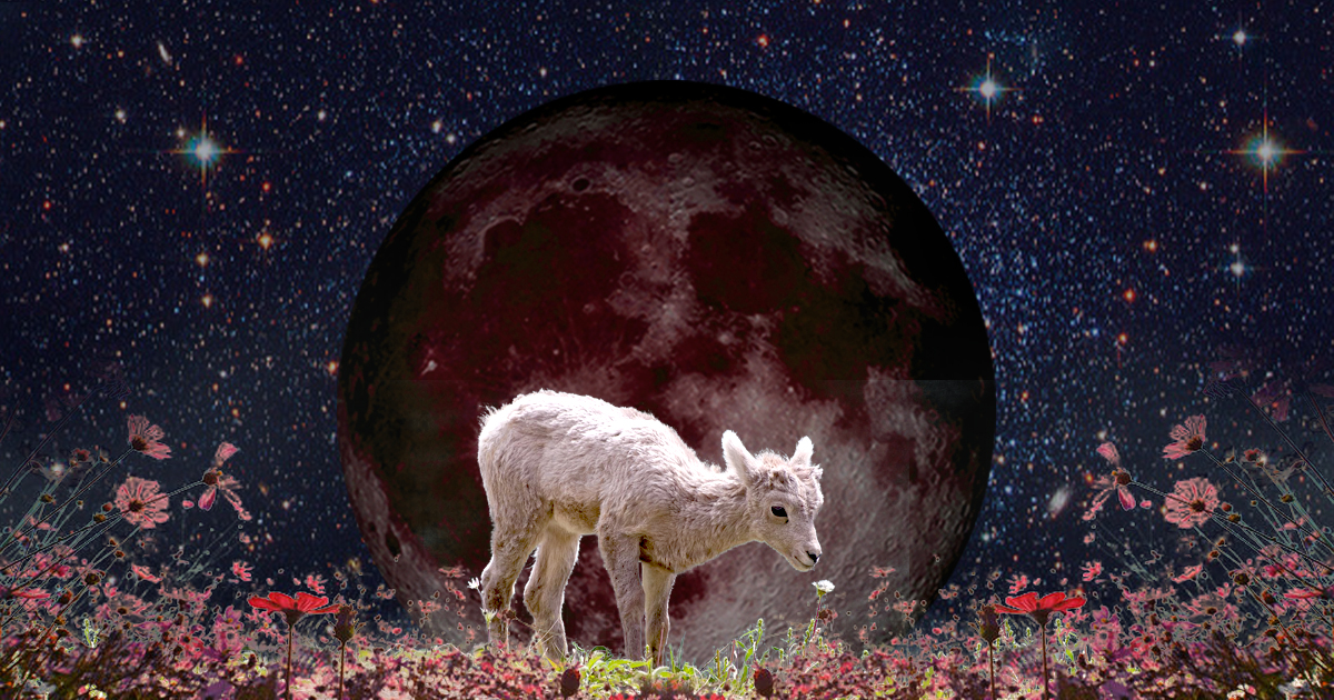 An Aries New Moon of Mystical Thought and Deep Intuition 