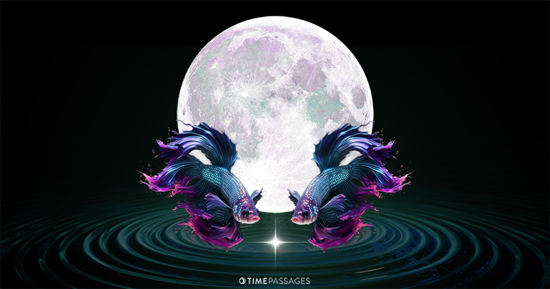 A Pisces Full Moon of Re-Evaluation and Devotion