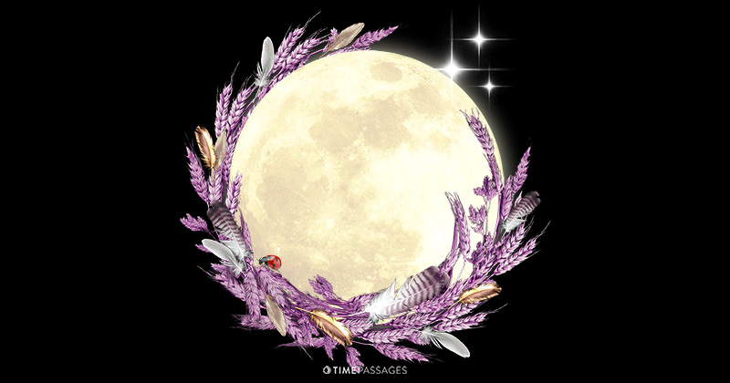 A Full Moon of Clarifying Mind & Nourishment