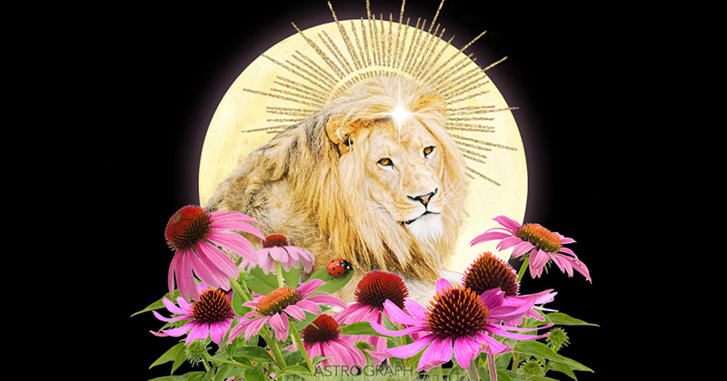 A Leo Full Moon of Bold Inspiration