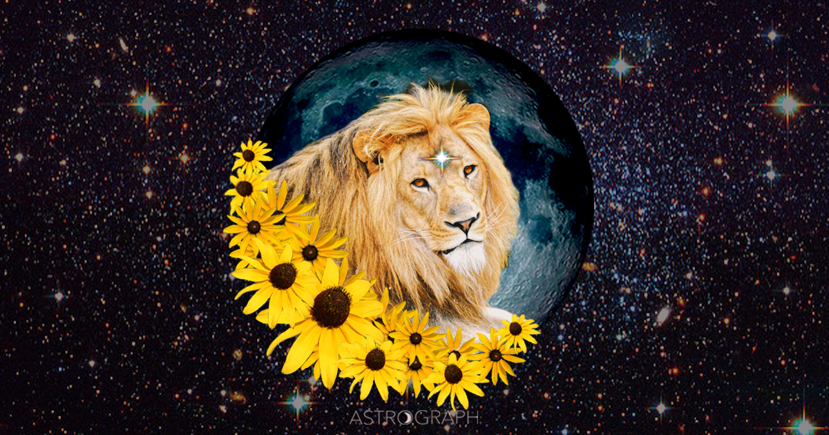 A Leo New Moon of Surprises, and Surprising Enlightenment