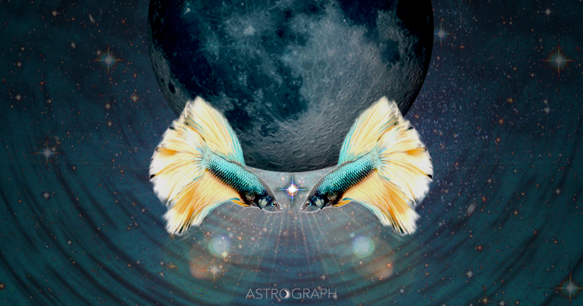 Astrograph - A Pisces New Moon Of Surprise Enlightenment