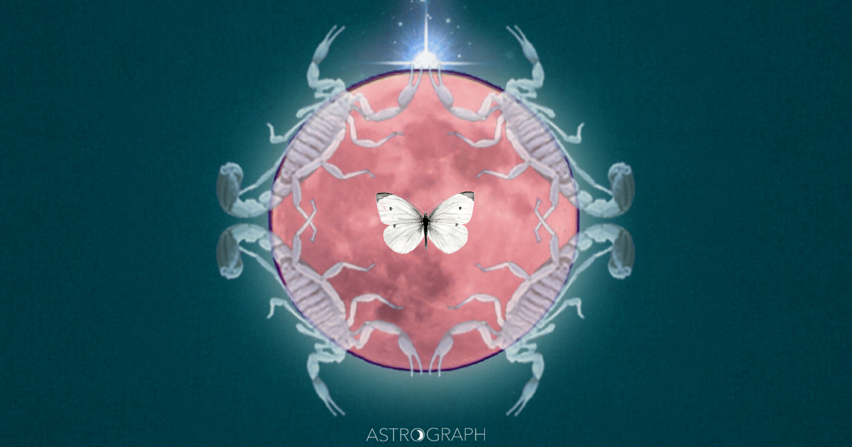 astrograph-scorpio-in-astrology