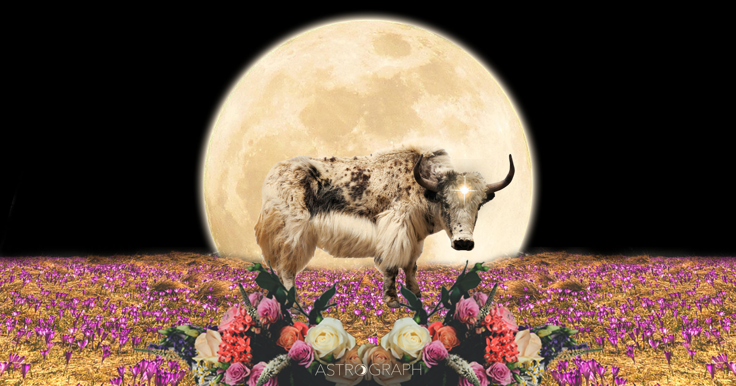 A Full Moon of Reconciling the Polarities