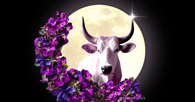 A Taurus Full Moon of Further Transformational Intensity