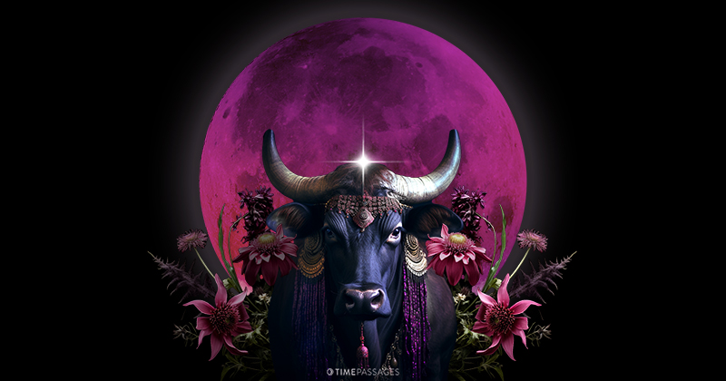 A Taurus Lunar Eclipse of Embodied Wisdom