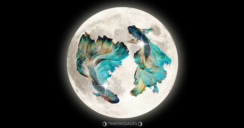 An Intuitive, Surprising, and Demanding Pisces Full Moon